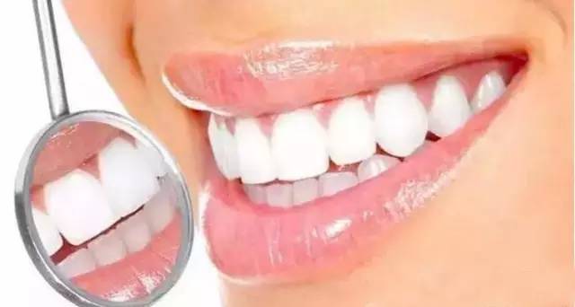 牙齿的功能是什么